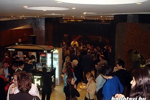 buda_kft_szinh 055.JPG